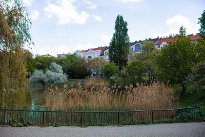 Lágymányosi öböl részlete, távolban a Rákóczi híd jellegzetes részlete. 
