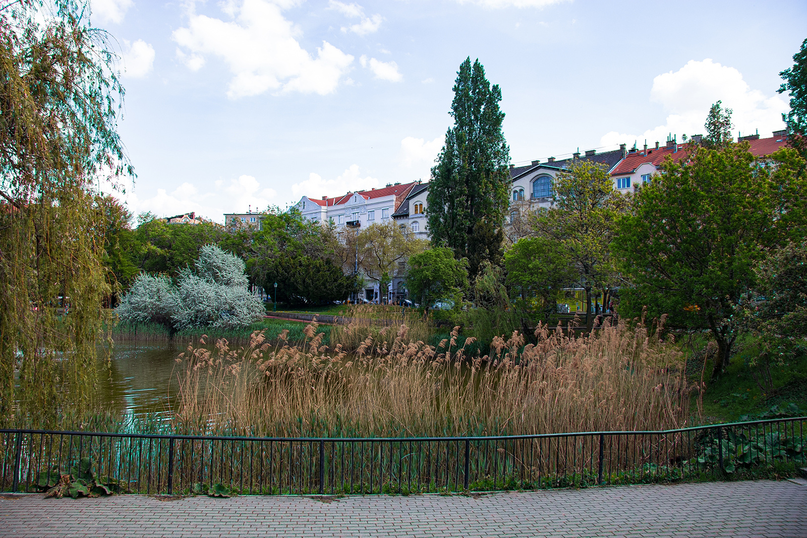Lágymányosi öböl részlete, távolban a Rákóczi híd jellegzetes részlete. 