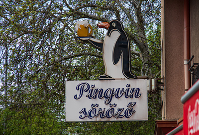 Lágymányosi öböl részlete, távolban a Rákóczi híd jellegzetes részlete. 