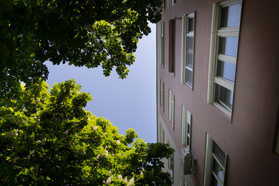 Lágymányosi öböl részlete, távolban a Rákóczi híd jellegzetes részlete. 