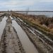 Csorvás határában egy belvíz miatt teljesen járhatatlan földút