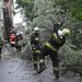 Tűzoltók egy kidőlt fát távolítanak el Budapesten az I. kerületi Lisznyai utcában.