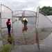 Gazdálkodó menti terményét a Kapos áradása miatt egy vízzel elárasztott fóliasátorból a Tolna megyei Döbröközön