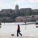 A Duna vízszintjének intenzív emelkedése miatt harmadfokú árvízvédelmi készültséget rendel el a Fővárosi Védelmi Bizottság