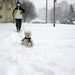 Egy nő kutyát sétáltat a hóban Nagykanizsán, a Keleti lakótelepen. 