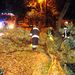 Tűzoltók a letört faágaktól tisztítják meg Budapest XIX. kerületében a Baross utcát, az éjszaka átvonult vihar után