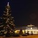 Pálháza, 2009. december 22. Az ország legmagasabb élő karácsonyfája áll a Borsod-Abaúj-Zemplén megyei Pálházán, az ország legkisebb városában.