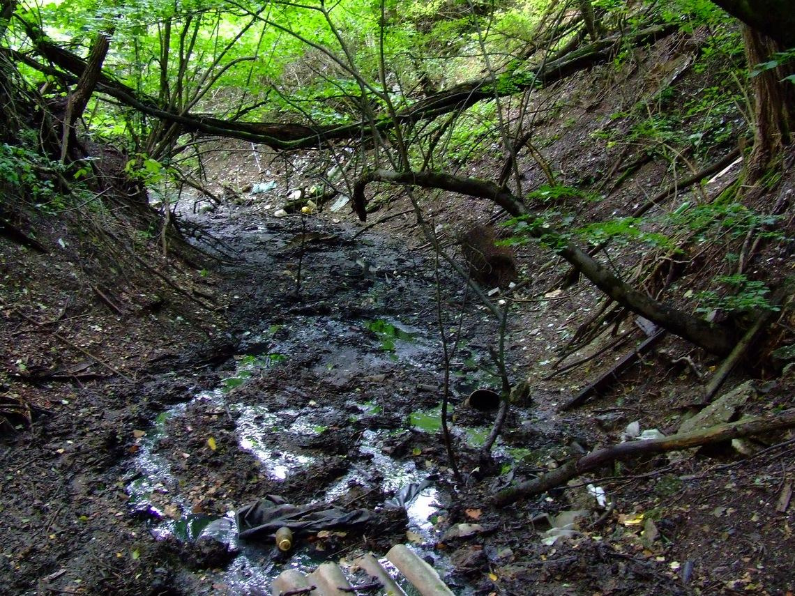 350 méterre a szennyvízbefolyástól még mindig rossz minőségű vizet talált a Mátyásfa Környezetvédő Egyesület