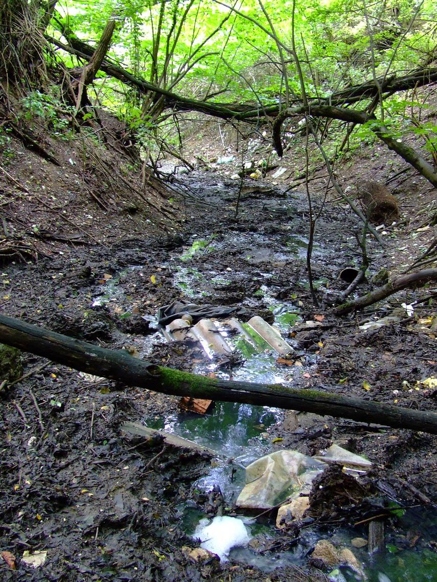 350 méterre a szennyvízbefolyástól még mindig rossz minőségű vizet talált a Mátyásfa Környezetvédő Egyesület