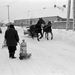 Zirc, 1987. január 14. Lovas szánon és gyalogosan közlekednek az emberek a havas úton, kézikocsin tolják a PB-palackot. Veszprém megyében az utak többségét méteres hófalak szegélyezik, így gyakran egy nyomsávra szűkülnek az utak. 