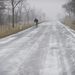 Egy férfi kerékpározik a behavazott úton Orosháza határában. Békés megyébe -12 Celsius-fokos hideg és orkán erejű szél kíséretében érkezett meg a havazás.