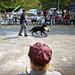 Marcangoló kutyával borzolták a nyugdíjasok kedélyeit