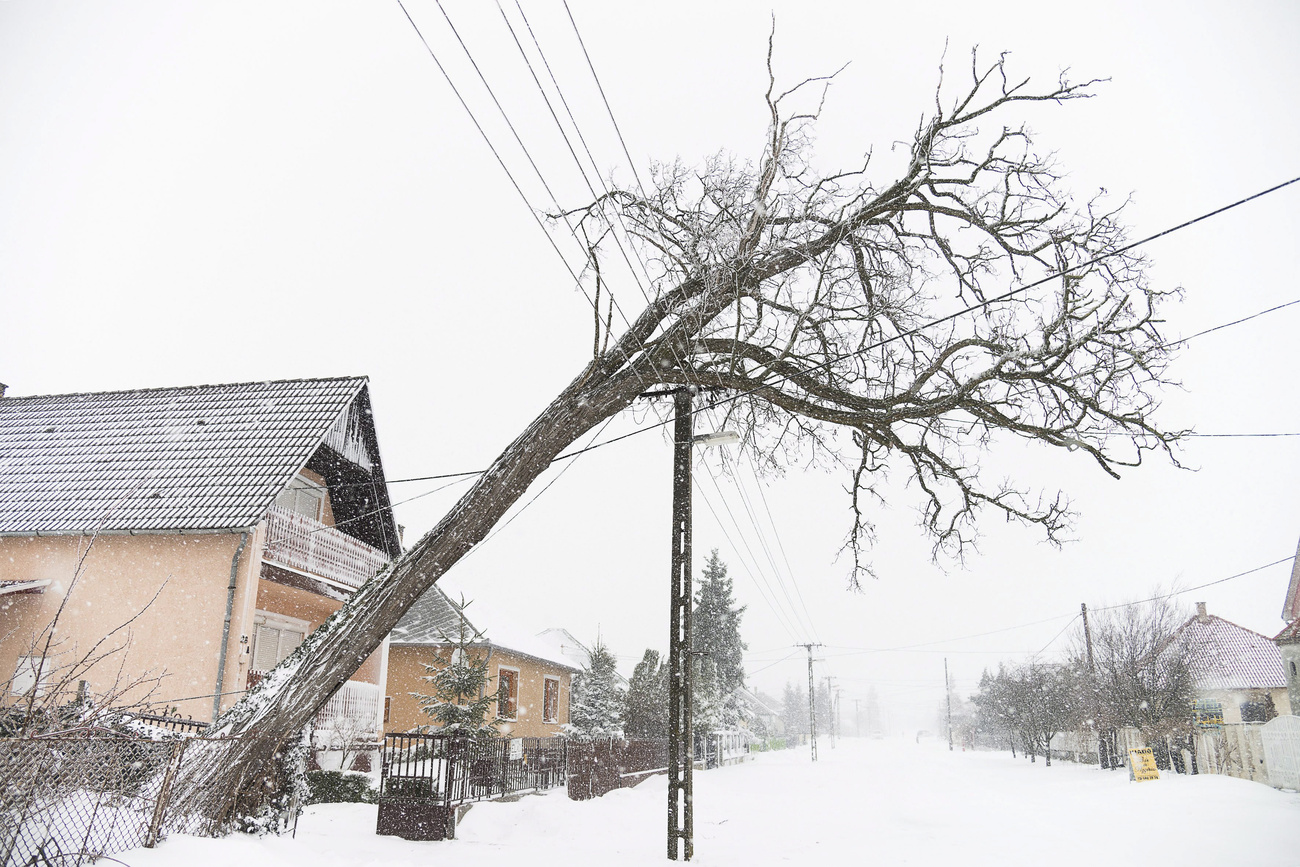 Hétfő reggelre 44 olyan
településen több mint 16 ezer ház maradt, ahol egyáltalán nincs áramellátás.