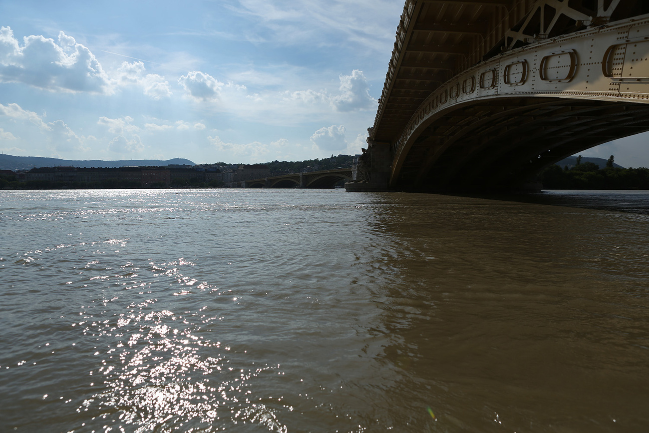 Az Erzsébet híd alatt