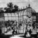 Az „orvmadarak”, vagyis a ragadozó madarak röpdéje 1866-ban, az Állatkert megnyitásakor