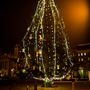 Az ország karácsonyfája 19 méter magas, és két tonnát nyom. Törzsátmérője 45 centiméter. A munkálatokhoz két emelőkosaras szerkezetet használtak.