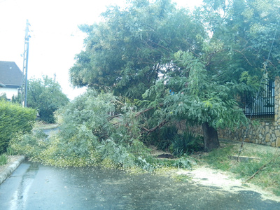 Balatonlellén fákat is ketté tört a vihar.