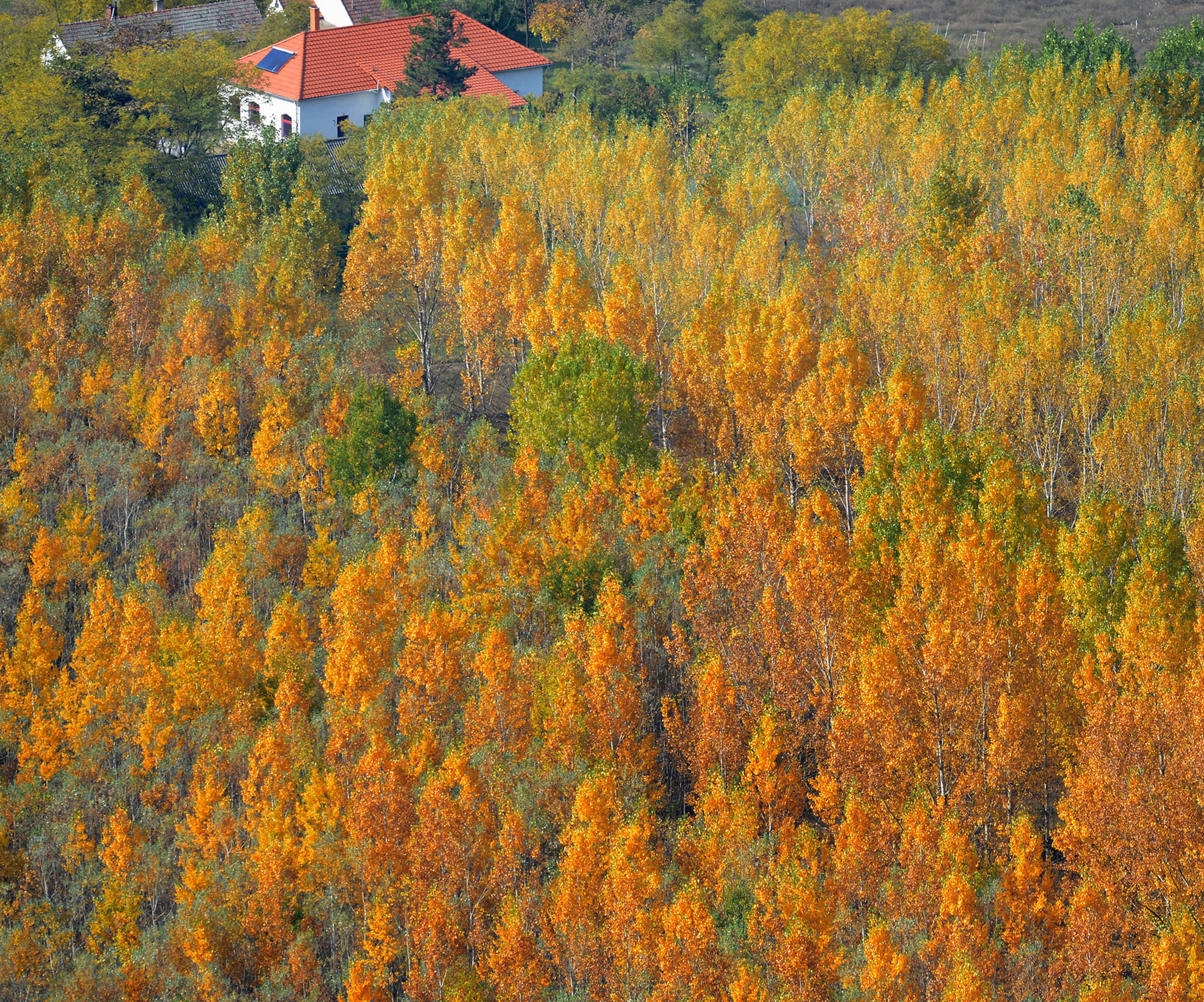 Ajánlóképek