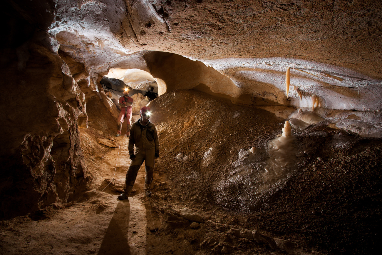
Borókás-ág, karácsonyfák – A kutatók 25 évvel a felfedezésük után is változatlan tisztelettel csodálják ezeket a különleges képződményeket. A karácsonyfák, Magyarország és a világ csak néhány barlangjában előforduló ritka,védett képződményei. Valószínűleg az egykori barlangi tó felszínén úszó kalcitlemezek egymásra rakódásával keletkeztek a kalcitfelszínt ugyanazon a  helyen megtörő vízcsepegés, vagy  a karácsonyfa közepén a mélyből feltörő gázok (széndioxid) buborékainak roncsoló hatására. A mélybe leúszó lemezkék összecementálódtak a víz alatt, még vastagodhattak is. Majd egyes helyeken egy későbbi fázisban borsókő díszítést is kaptak