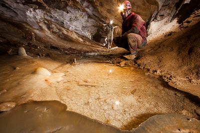 
Borókás-ág, karácsonyfák – A kutatók 25 évvel a felfedezésük után is változatlan tisztelettel csodálják ezeket a különleges képződményeket. A karácsonyfák, Magyarország és a világ csak néhány barlangjában előforduló ritka,védett képződményei. Valószínűleg az egykori barlangi tó felszínén úszó kalcitlemezek egymásra rakódásával keletkeztek a kalcitfelszínt ugyanazon a  helyen megtörő vízcsepegés, vagy  a karácsonyfa közepén a mélyből feltörő gázok (széndioxid) buborékainak roncsoló hatására. A mélybe leúszó lemezkék összecementálódtak a víz alatt, még vastagodhattak is. Majd egyes helyeken egy későbbi fázisban borsókő díszítést is kaptak