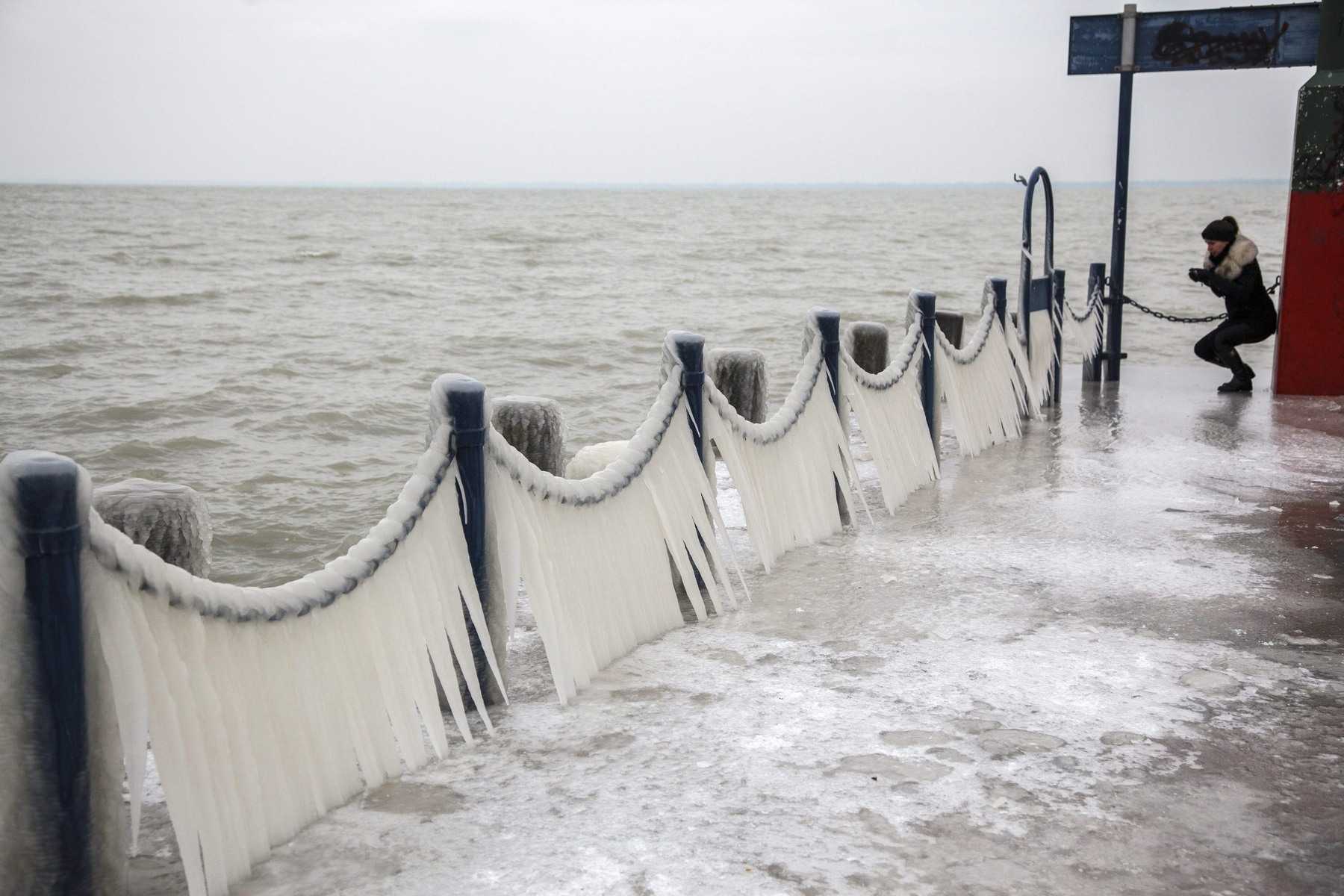 Eljegesedett kuka Balatongyörökön