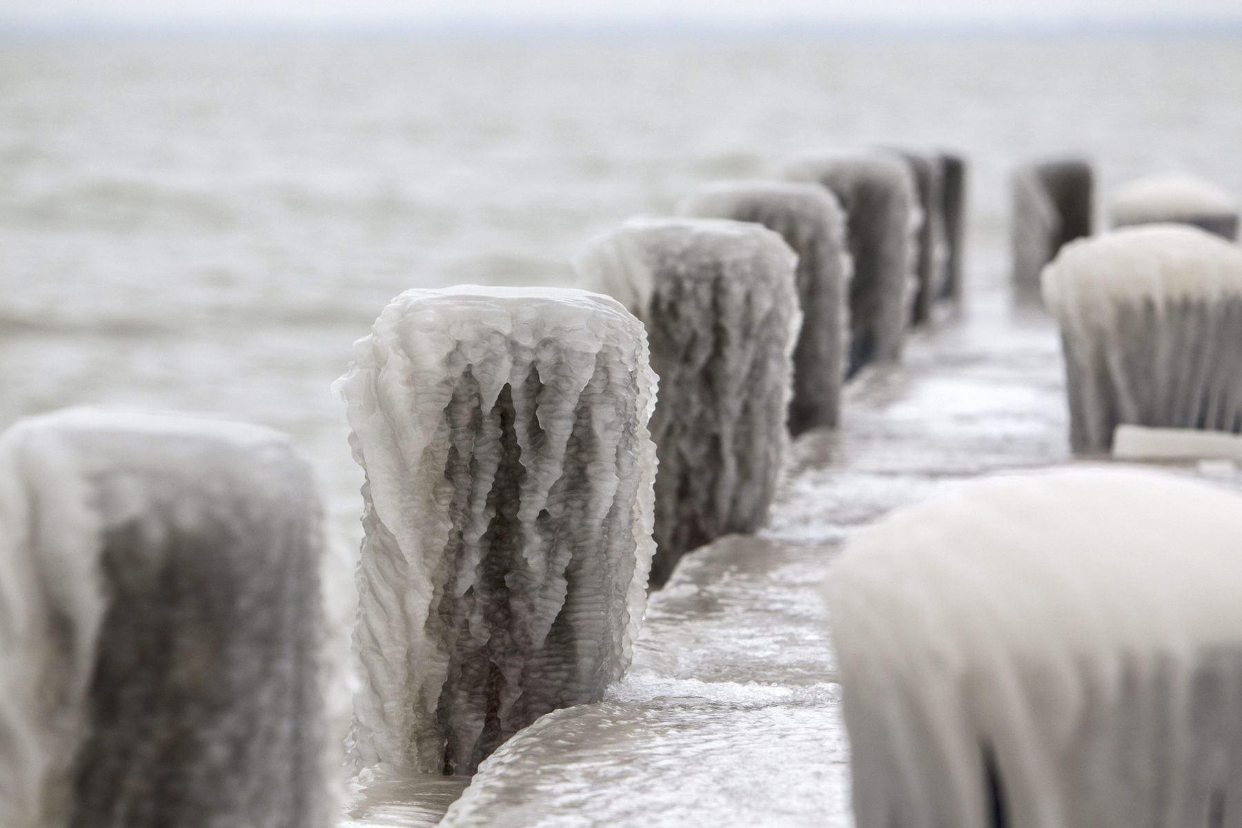 Eljegesedett kuka Balatongyörökön