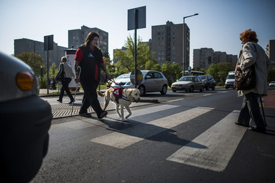 Bors és gazdája őrbottyáni otthonukban.