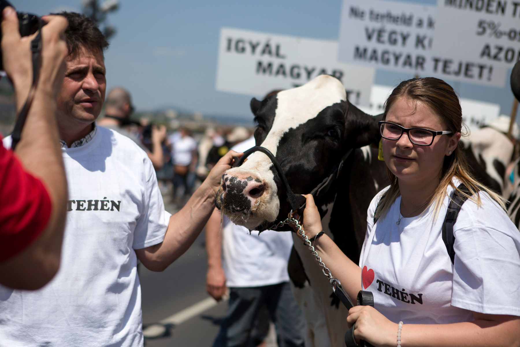 Körülbelül kettőre végeztek a demonstrálók.