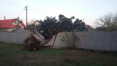 Használaton kívüli malom tetőszerkezetének darabjai az 51-es számú út mellett a Bács-Kiskun megyei Hartán