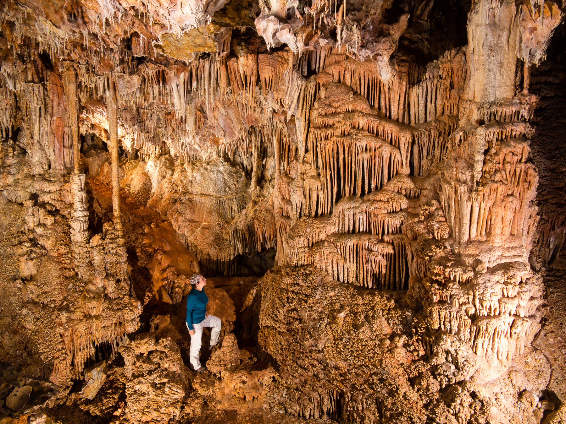 Pál-völgyi-barlang. Az 1904-ben még csak néhány száz méter hosszúságban felfedezett Pál-völgyi-barlang a szisztematikus kutatások során  ma már a 31 km-t is meghaladja, ezzel jelenleg hazánk leghosszabb barlangja.  Az eocén kori és triász időszaki mészkőben, a mélyből feltörő melegvizek hatására kialakult, labirintusos járathálózatok irányát a hegység törésvonalai határozták meg. A budai barlangoktól eltérően cseppkövekben gazdag, és 1927 óta egy szakasza villanyvilágítás mellett utcai ruhában is látogatható.