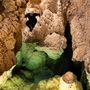 Beremendi-kristálybarlang. A Beremendi mészkőbánya működése során, 1984-ben feltárult barlang megóvása a magyar természetvédelem egyik legnagyobb eredménye volt, amikor a barlang körül a bányászat korlátozásával sikerült az üreget megmenteni a letermelés elől.