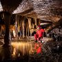 Baradla-barlang. A Retek-ág – mely nevét a ritka retek formájú cseppköveiről kapta – a Baradla-barlang egyik legszebb, és leghosszabb mellékága. Szinte állandóan vizes, alacsony, keskeny és képződményekben rendkívül gazdag járataiban nagyon változatos formakincsek és ásványkiválások találhatóak.