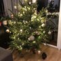Picit görbe fa, néhány súly, és kész is a tökéletes karácsonyfa