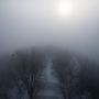 Köd is elősegíti a zúzmara képződést a hidegben