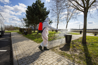 Minden pad fertőtlenítésre kerül