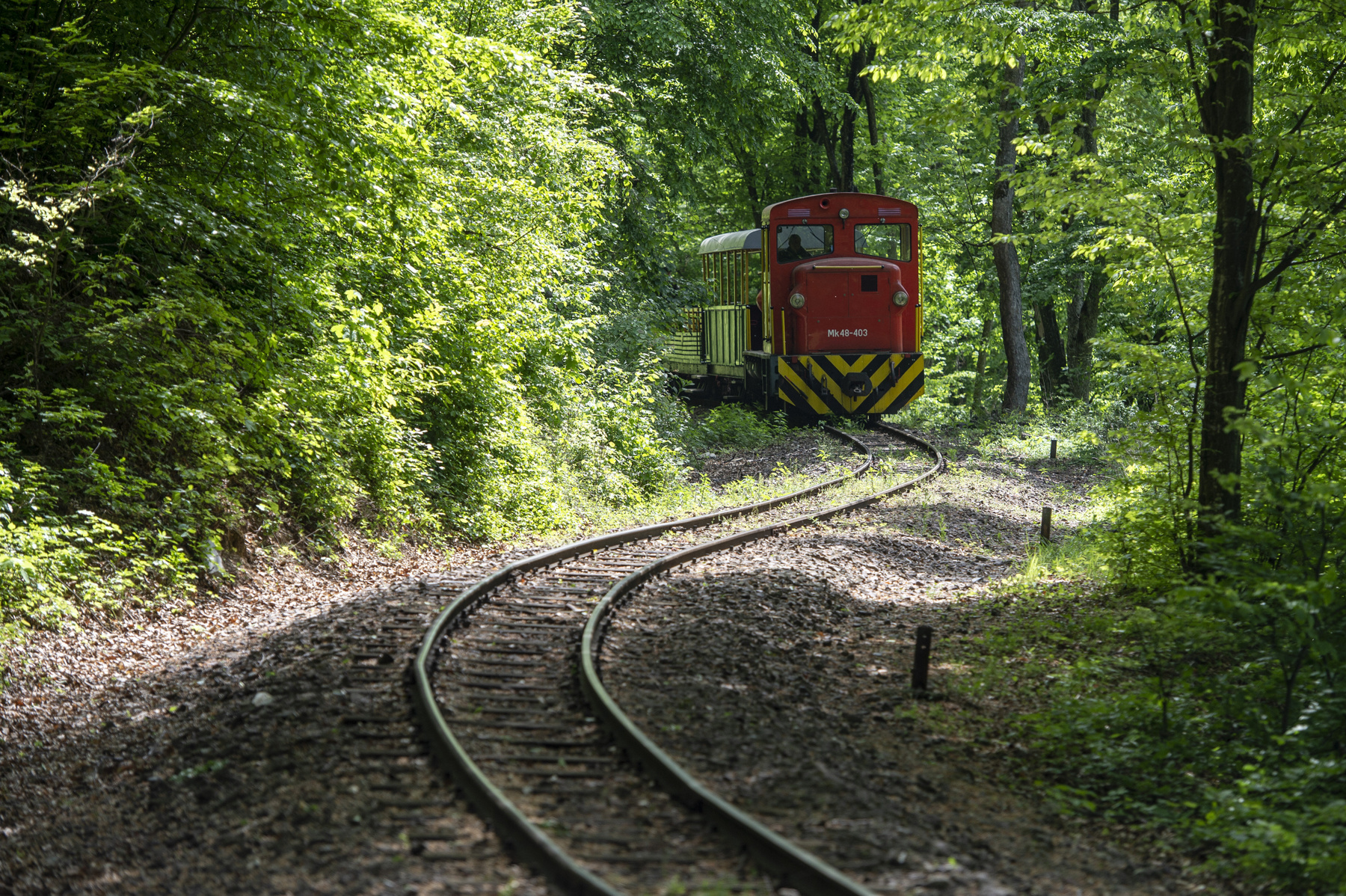 A koronavírus-járvány miatt elrendelt korlátozások fokozatos enyhítésének nyomán ismét elindultak egyes erdei kisvasutak