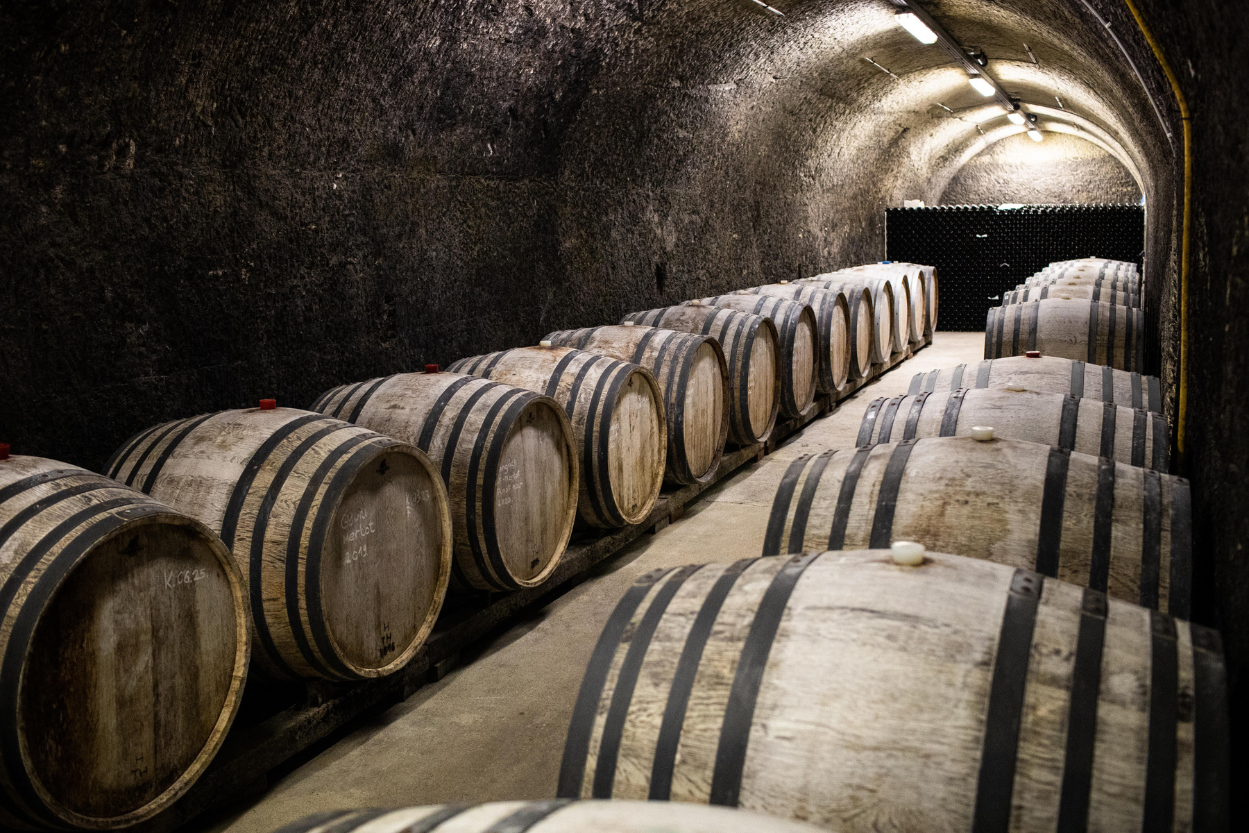 felkerült a St.Andrea szőlőbirtok a világ legjobb 50 borának listájára a decanter világversenyen
