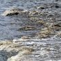 Vízátfolyás a Sajó folyó áradása miatt lezárt úton Sajóivánka és Sajókaza között 2023. január 19-én