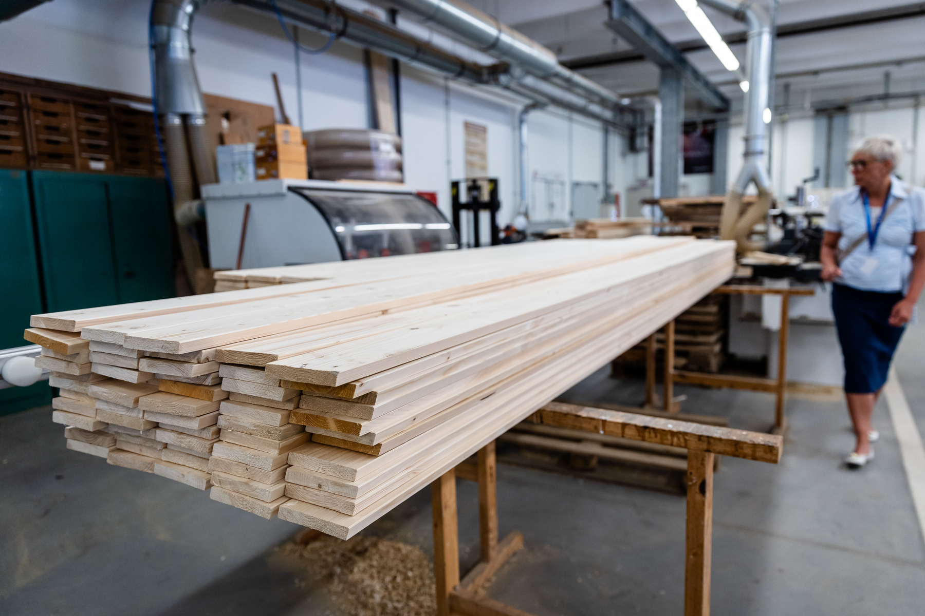 Prof. Dr. Magoss Endre, a Faipari Mérnöki és Kreatívipari Kar dékánja
