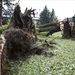 A Mezőhegyesre lecsapó vihar korábban Szegeden is komoly pusztítást végzett, ott fákat döntött ki a szél és pincéket árasztott el a húsz perc alatt lehulló 30 milliméternyi eső