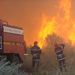 A tűz következtében 650 hektár erdőség égett le