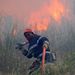 A lángok több száz hektár erdőt elpusztítottak. A tűz szombaton csapott fel.