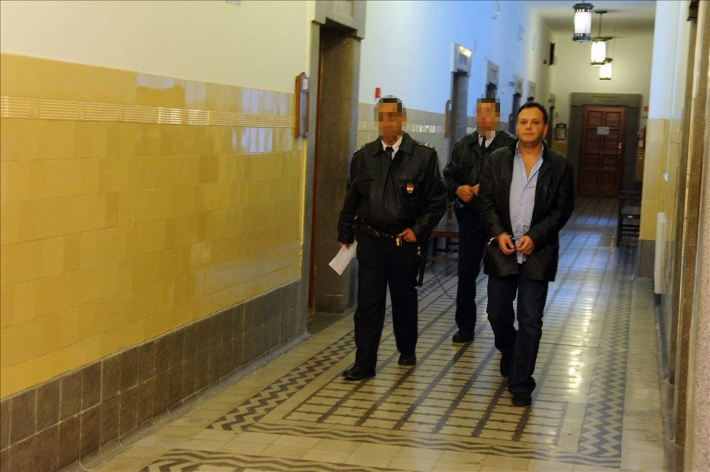 Damu Roland 30 napos előzetes letartóztatását rendelte el a Pesti Központi Kerületi Bíróság. 
