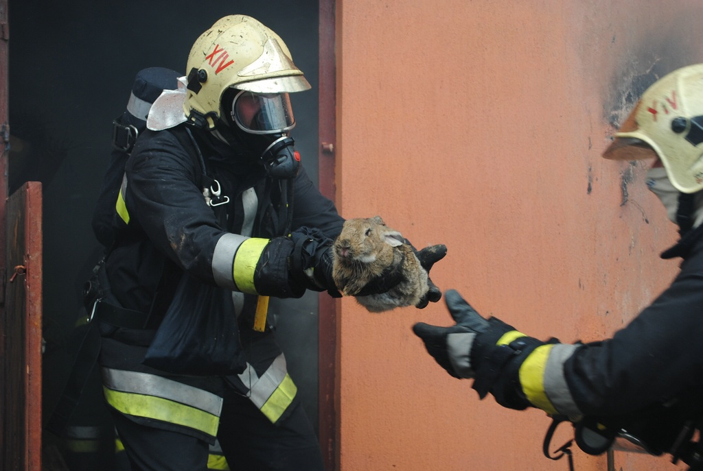 9. helyezett: Kis-Guczi Péter: Tűzoltók és tűzoltó védőfelszerelések a repülőnapon Kecskeméten 