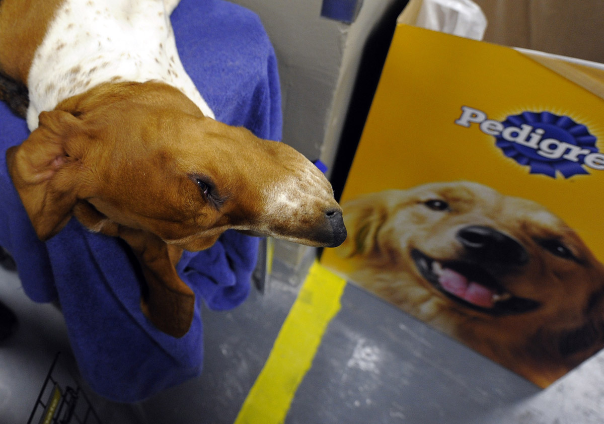 Minden figyelem az övé az idén