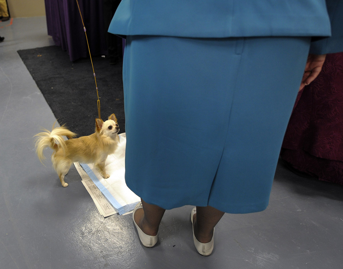 Minden figyelem az övé az idén