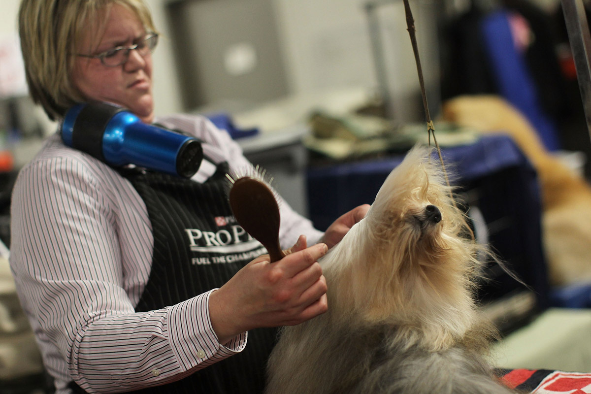 Minden figyelem az övé az idén