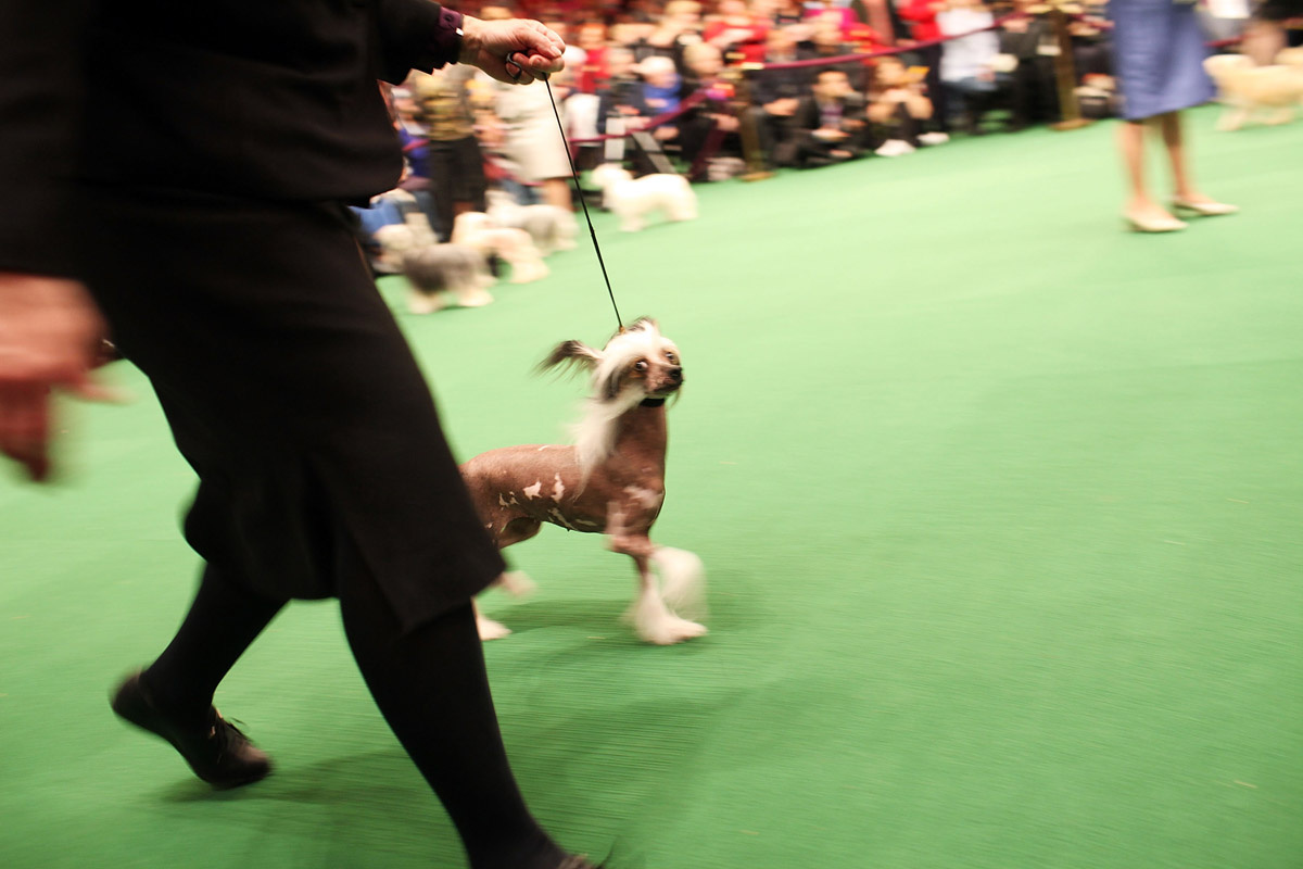 Minden figyelem az övé az idén