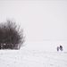 Egy nő és fia sétál a hóesésben Nyíregyháza és Tiszavasvári között található tanyájuk felé. Szabolcs-Szatmár-Bereg megyében 5-10 centiméter hó esett a napokban