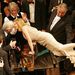 Németország: Sharon Stone csókot ad a Mozi a békéért berlini gáláján zongorázó Richard Gere-nek. A berlini filmfesztivál alatt minden évben megrendezik ezt az eseményt.